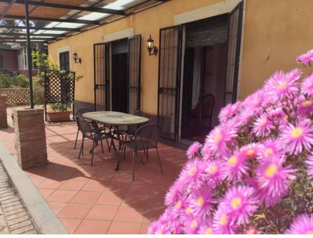 Villa Delle Palme Aci Trezza Exterior foto